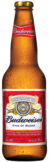 Budweiser Long Neck